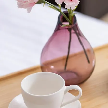 아파트 Stylish With Parking In By Renters 카토비체